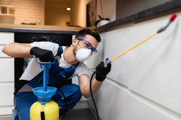 Best Residential Pest Control  in Terrell, TX