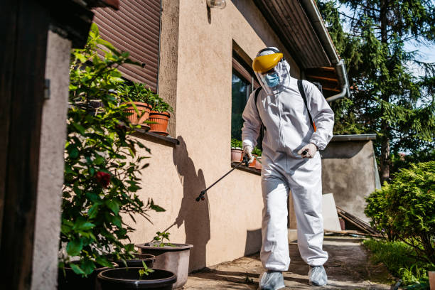 Best Best Pest Control Companies  in Terrell, TX