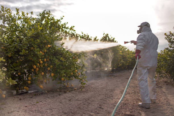 Best Pest Control Cost  in Terrell, TX