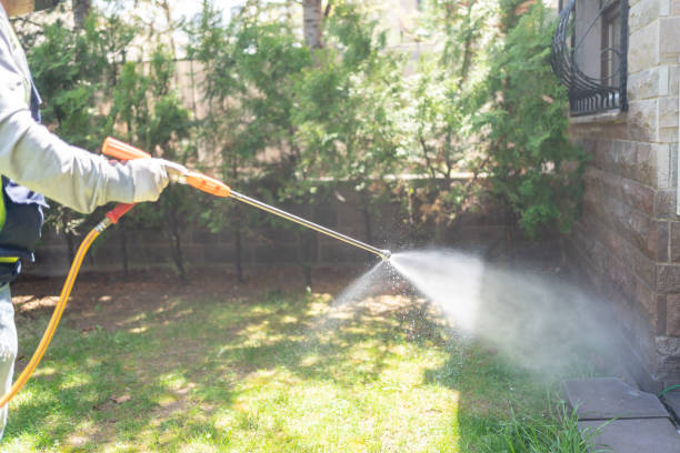 Best Emergency Pest Control  in Terrell, TX