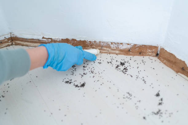 Best Pest Control for Restaurants  in Terrell, TX